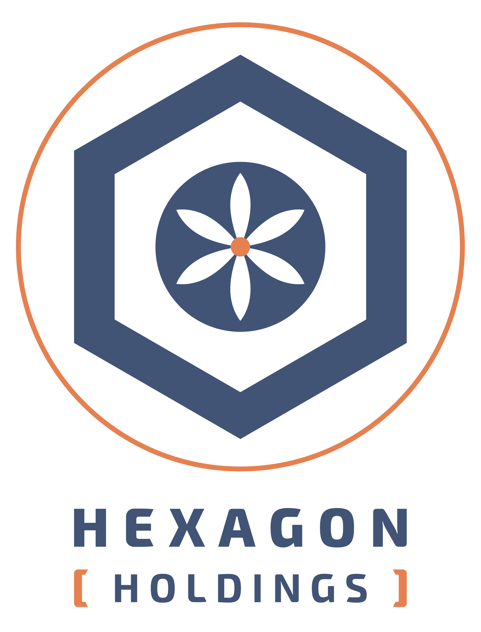 Hexagon Holdings Logo