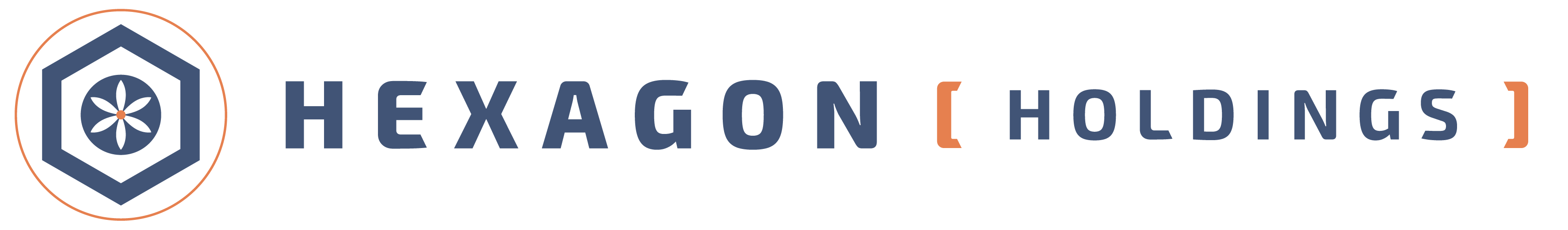 Hexagon Holdings Logo